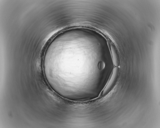 X0000115160830200911101748