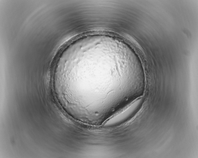 X0000115160831200911101748