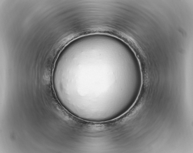 X0000115160833200911101748