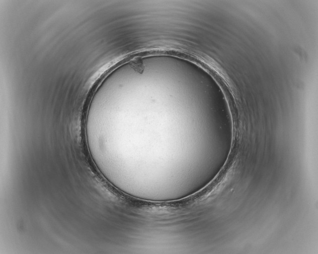 X0000115160834200911101748