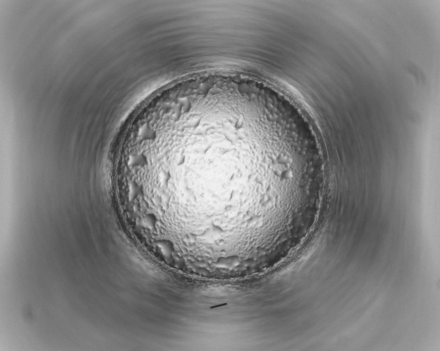 X0000115160835200911101748