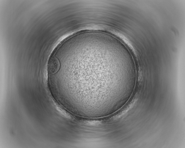 X0000115160837200911101748