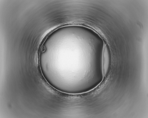 X0000115160838200911101748