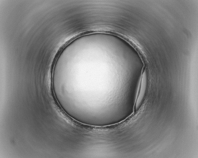 X0000115160840200911101748