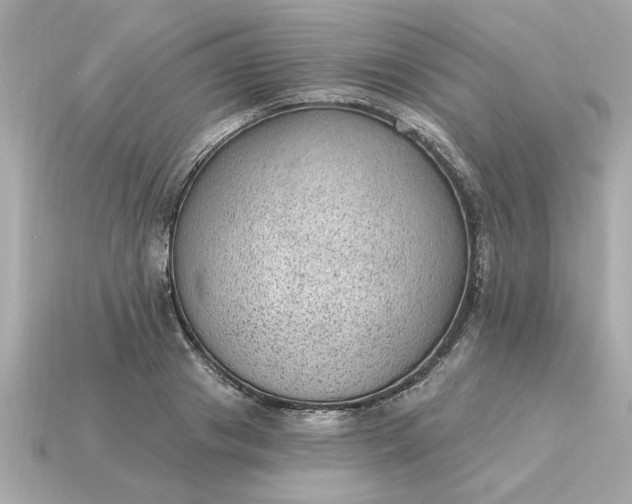 X0000115160841200911101748