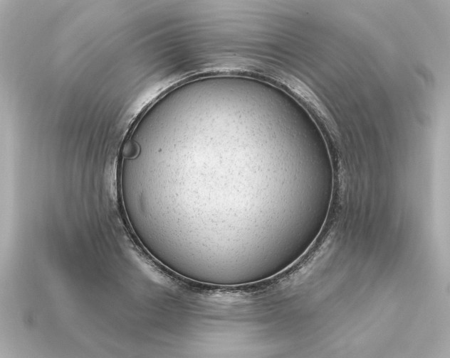 X0000115160842200911101748
