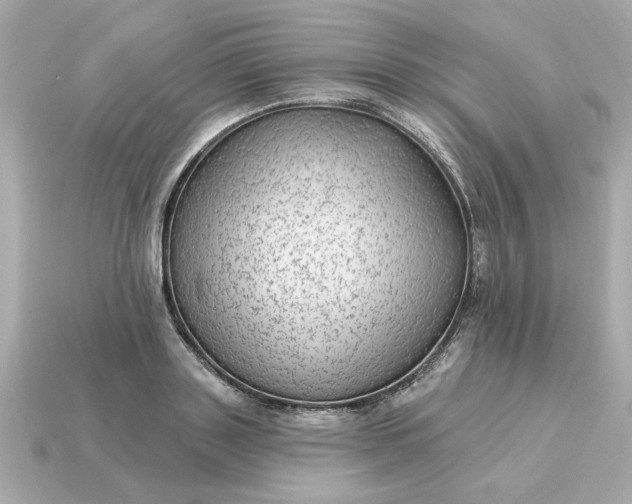 X0000115160843200911101748