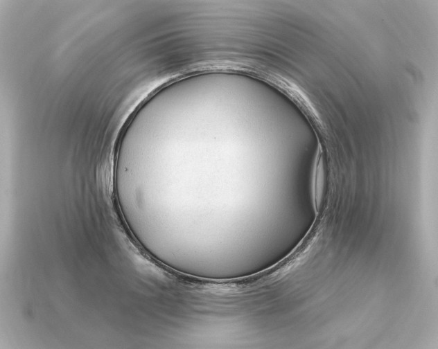 X0000115160844200911101748