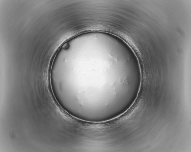 X0000115160845200911101748