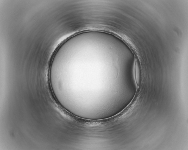 X0000115160846200911101748