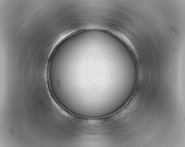X0000115160847200911101748