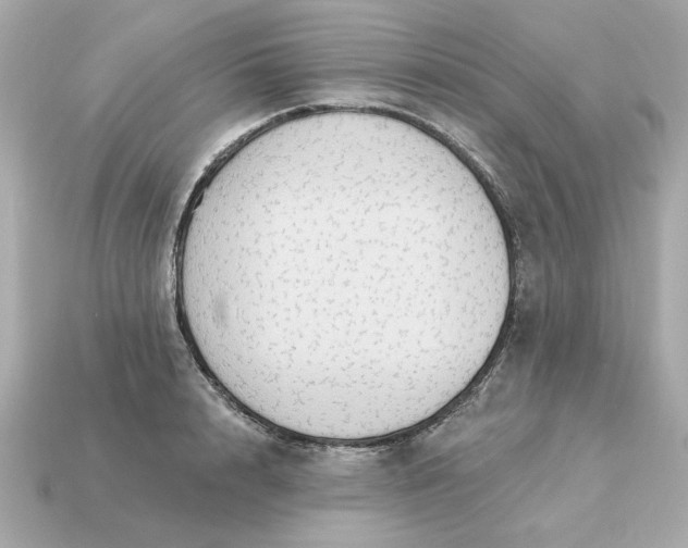 X0000115160848200911101748