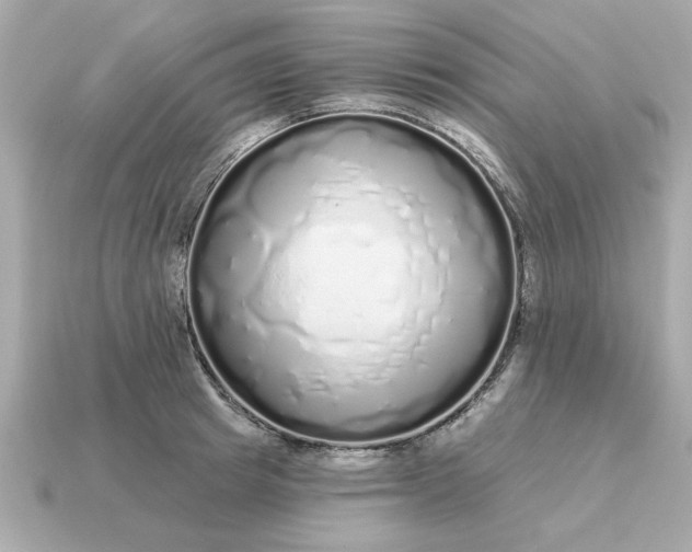 X0000115160849200911101748
