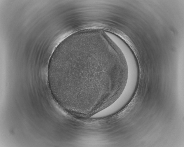 X0000115160850200911101748