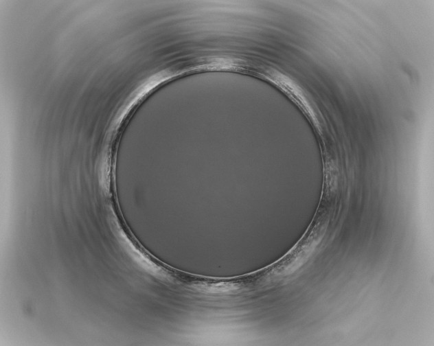 X0000115160851200911101748