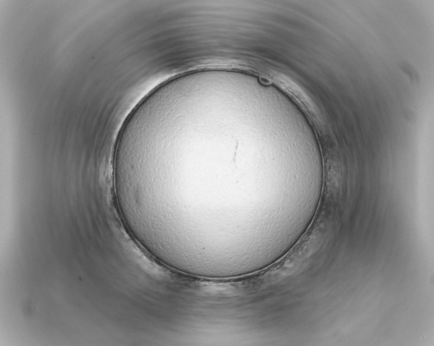 X0000115160852200911101748