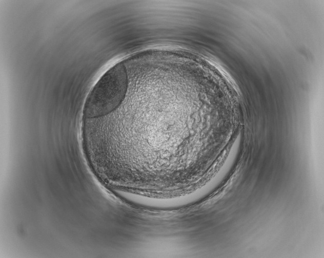 X0000115160853200911101748