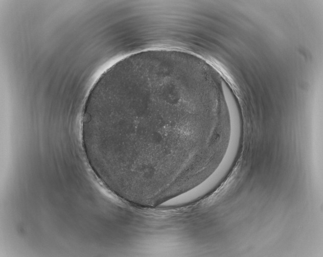 X0000115160854200911101748