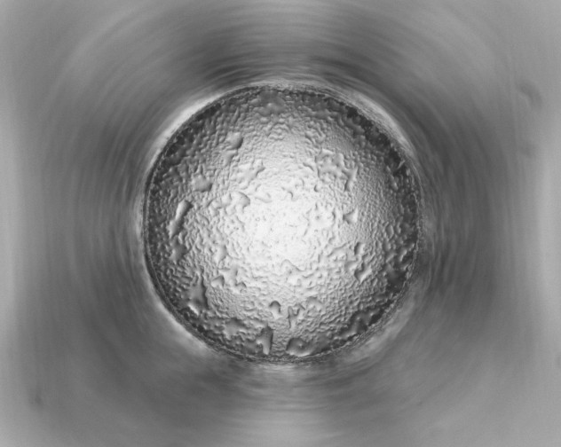 X0000115160855200911101748