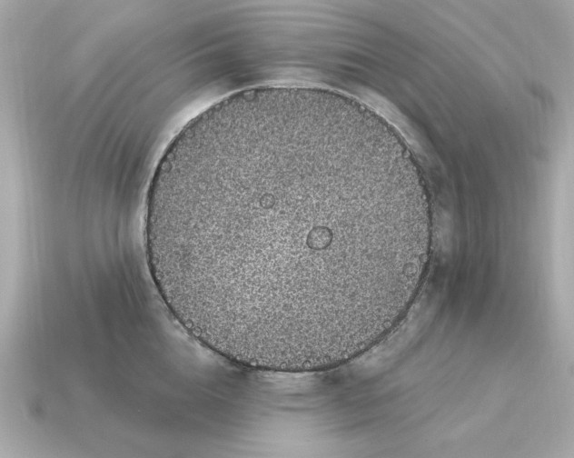 X0000115160856200911101748