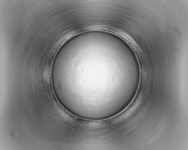 X0000115160857200911101748