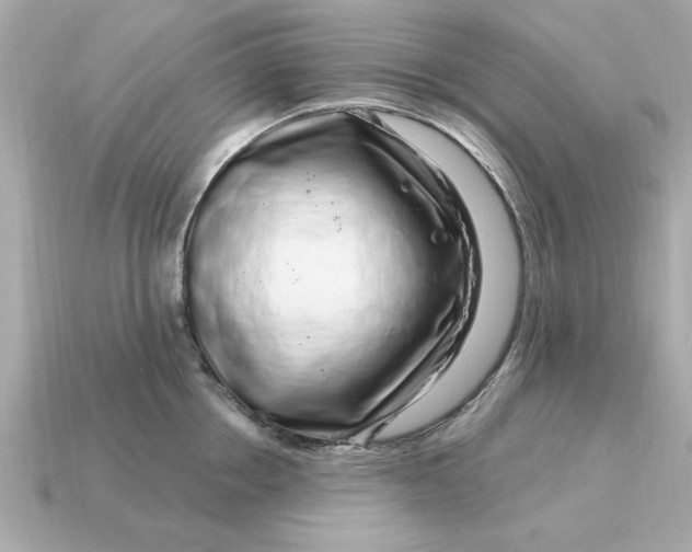X0000115160858200911101748