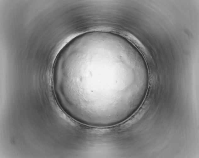 X0000115160860200911101748