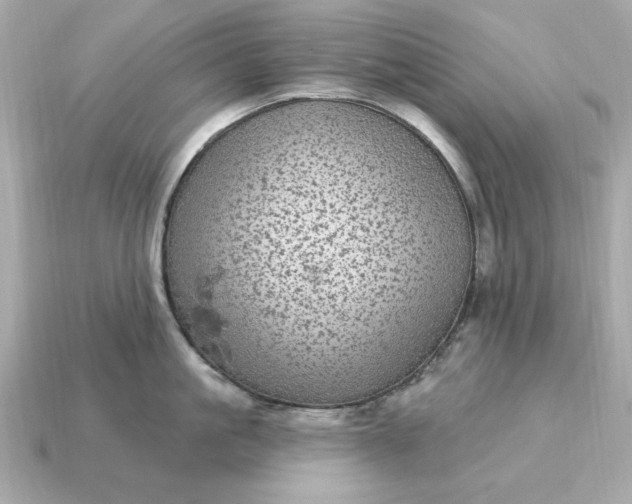 X0000115160861200911101748