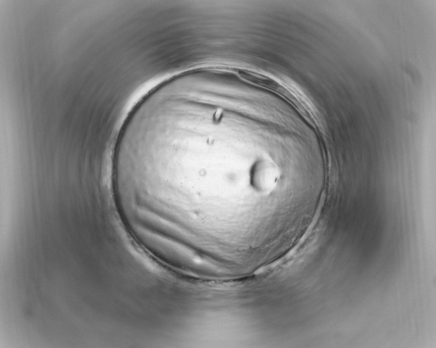 X0000115160862200911101748