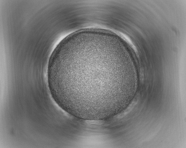 X0000115160863200911101748