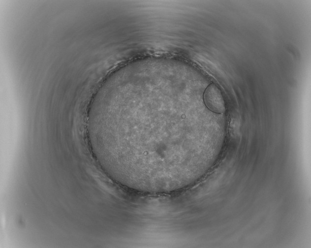 X0000115160865200911101748