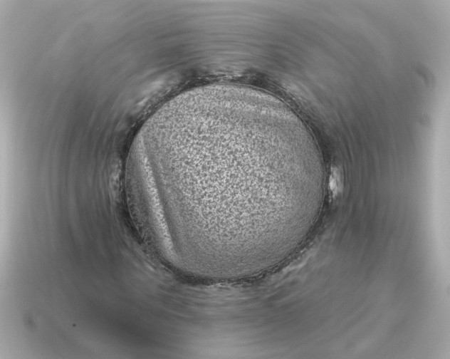X0000115160867200911101748