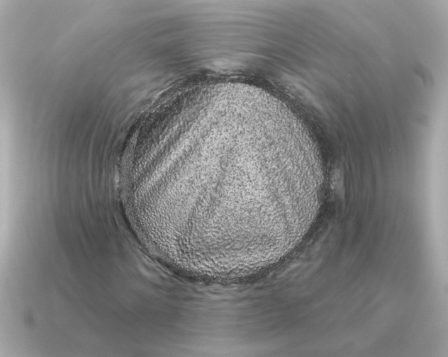X0000115160868200911101748