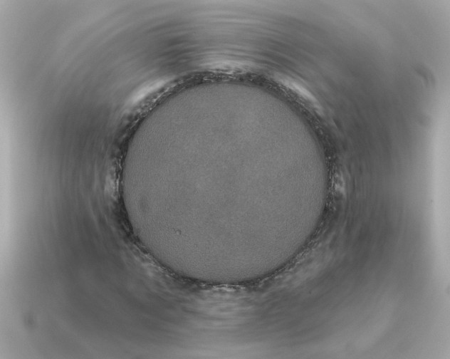 X0000115160869200911101748