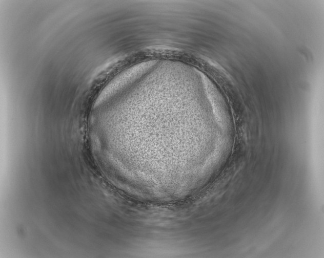 X0000115160870200911101747