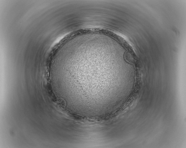 X0000115160871200911101747