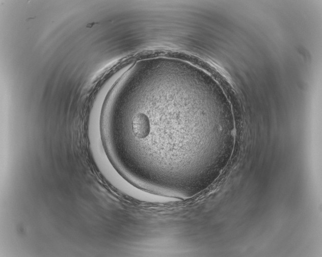 X0000115160872200911101747