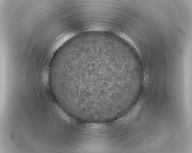 X0000115160874200911101747