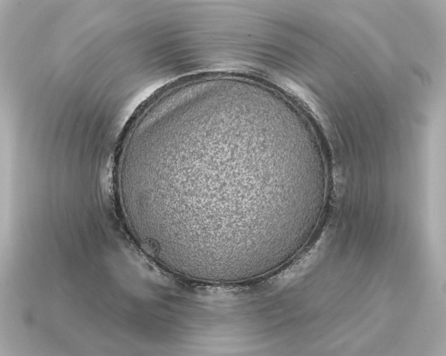 X0000115160875200911101747