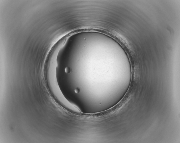 X0000115160876200911101747