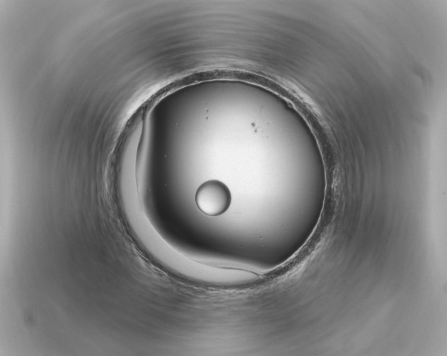 X0000115160877200911101747