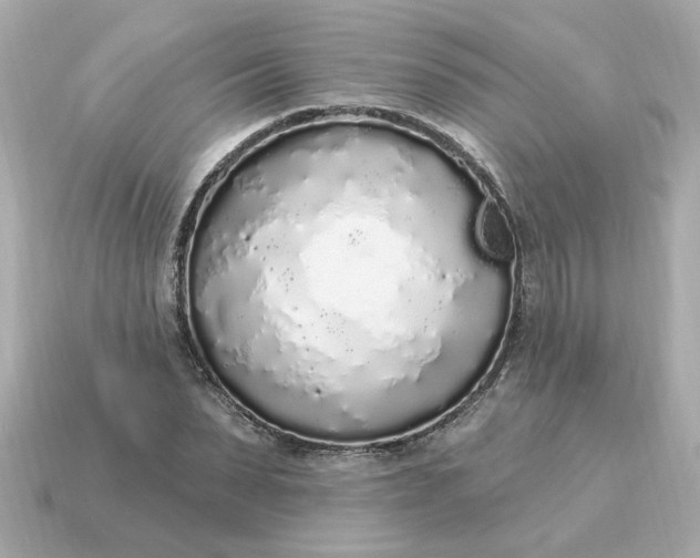 X0000115160879200911101747