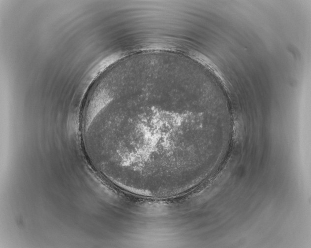 X0000115160882200911101747
