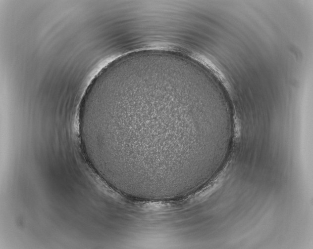 X0000115160883200911101747