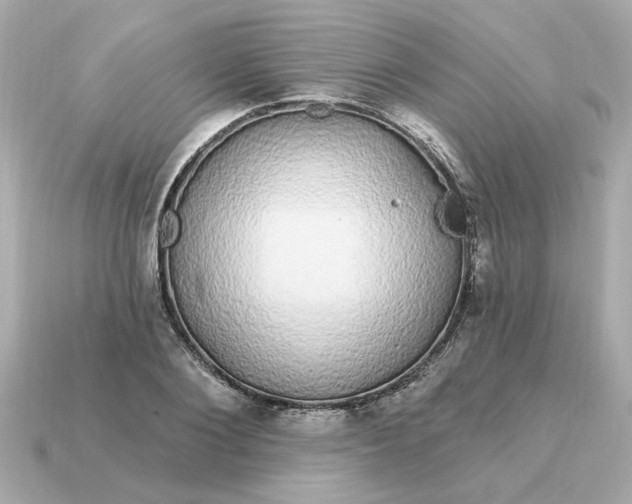 X0000115160884200911101747