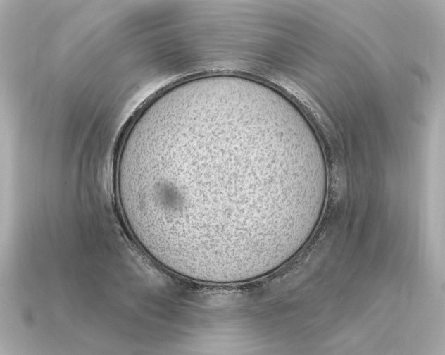 X0000115160886200911101747