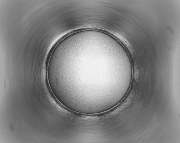 X0000115160888200911101747