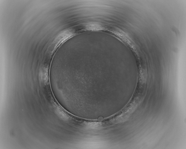 X0000115160889200911101747
