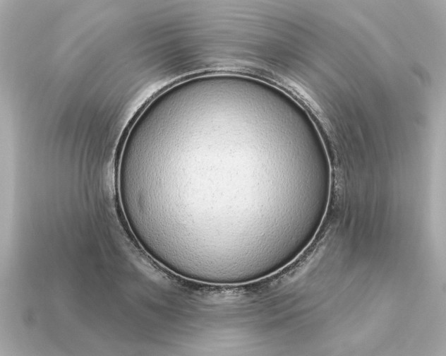 X0000115160891200911101747