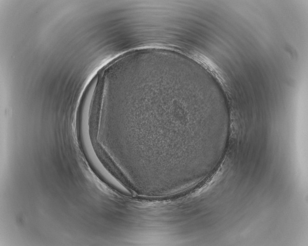 X0000115160892200911101747